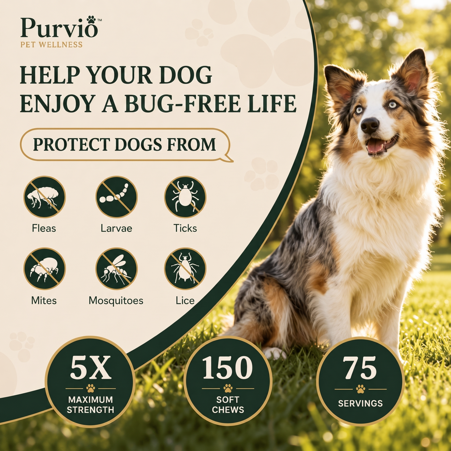 Dog Chew for Fleas