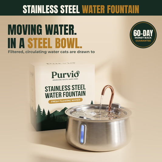 Stainless Steel Water Fountain