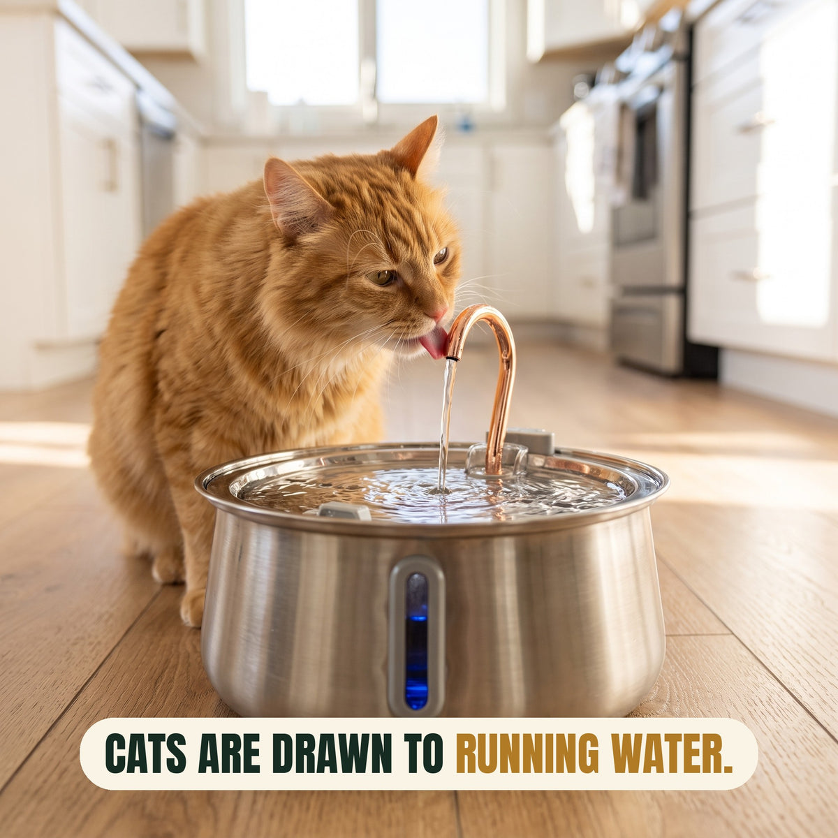 Stainless Steel Water Fountain
