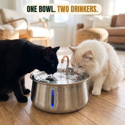 Stainless Steel Water Fountain