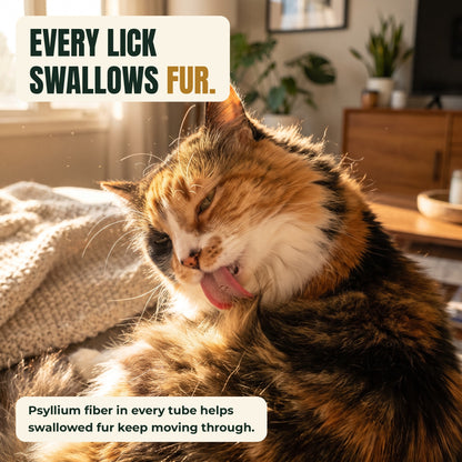 Purvio Hairball Puree